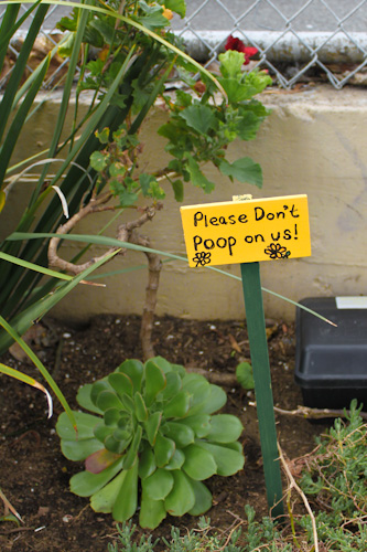 Pflanzen Warnung